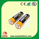 AA Alkaline Battery