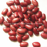 Small Red Kidney Bean (for India)