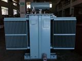 S9 Series 125kVA 6-11kv/0.4kv Oil Immersed Power Transformer