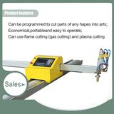 Portable CNC Flame/Plasma Cutting Machine