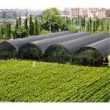 Anti Insect Netting for Agriculture 50mesh