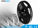 New! ! ! SMD LED RGB Strip Light with Exciting Price
