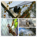 Weather-Resistant Stainless Steel Rope Mesh as Aviary Netting