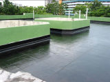 UV Resistant Acrylic Waterproof Coating for Buildings
