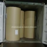 Hot Selling-Offset Paper in Reel