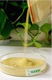 Xi'an Kaida Amino Acid Powder Fertilizer
