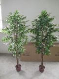 Artificial Plants and Flowers of Ficus Tree 150cm 756lvs