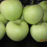 Export Standard Chinese Fresh Golden Apple