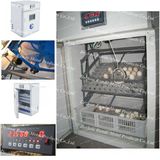 Automatic Egg Incubator