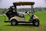 Two Seats Professional Electric Golf Cart Made by Dongfeng Motor