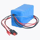 29.6V 6.6ah Icr18650 Li Ion Battery Pack 8s3p CE/UL Quality