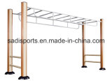 Outdoor Fitness/Park Fitness/Body Building/Outdoor Gym/Community Exercise/Roadside Sports Equip/Fitness Equipment/Outdoor Exercise Equipment (TSDL-S23)
