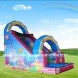 Hot Sale Shark Inflatable Slide