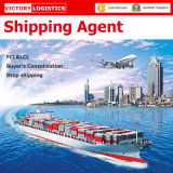 Reliable Freight Forwarder Shipping Agent in China (Shipping Agent)