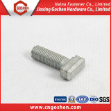 Carbon Steel T Head Bolts/ Customized
