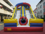 CE Certification Inflatable Slide/Hot Sale Inflatable Slide Chsl139