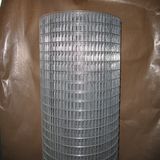 Galvanized Welded Wire Mesh