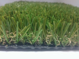Flooring Decoratived Grass for Garden Field (D8319)