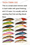 Fishing Lure ,Fishing Tackle ,Plastic Lure--Bass Minnow (HRL010)