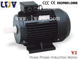 Y2 Electric Motor