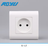 Mosaic Series Two Pin Electric Outlet