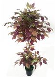 Indoor/ Outdoor Artificial Ficus Tree Ficus Bonsai 600