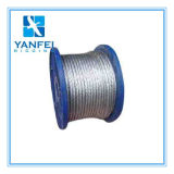 Galvanized/Ungalvanized Steel Wire Rope