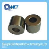 Industrial Permanent NdFeB Material Ring Magnet