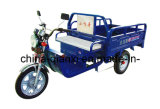 Electric Tricycle Qxss1004815