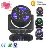 2years Warranty 19PCS Bee Eyes LED Stage Light (YS-227B)