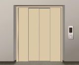 Mrl Freigt Elevator