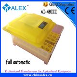 Transparent 48 Egg Incubator Made in China