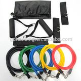 Resistance Band Set with Door Anchor, Ankle Strap, Exercise Chart, and Resistance Band Carrying Bag