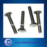 Stainless Steel Carriage Bolt with Black Finish