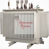 C-100kVA 11/0.4kv Sealed Type Power Transformer China