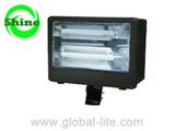 (SX-21003) 500W Induction Lamp Flood Light