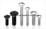 Round Head Carriage Bolt (DIN 603) (MGS-CB008)