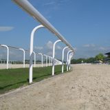 Horse Racing Fence