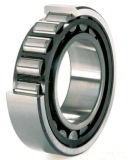 Cylindrical Roller Bearing (NU204E)