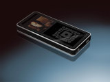 Flash MP3 Player (IRFM9013)