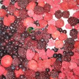 New Crop IQF Mixed Berries