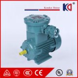 380V Asynchronous Explosion Proof Electric AC Motor