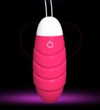 APP Control Flirting Toy Female Masturbation Sex Vibrator Jump Egg
