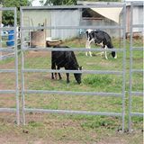 Galvanized Farm Livestock Panel Fence / Cattle Panels