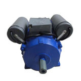 CE Approved Yl Series Electric Motor