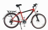 Lithium Battery Electric Bicycles(FB003)