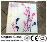 2mm-6mm Low Iron Clear Tinted Tempered Electrical Appliance Glass with CE ISO CCC