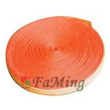 Webbing (PP2501)