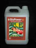 BioPower-P Seaweed Extract