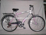 Mountain Bicycle for Sale with Rear Carrier (SH-MTB012)